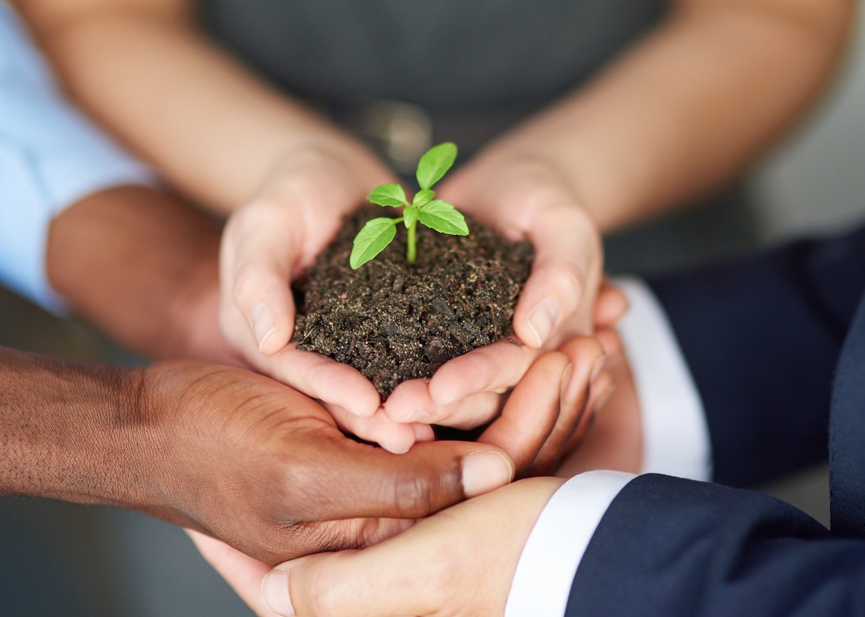 Croissance : trois personnes dont on ne visualise que les bras portent ensemble une motte de terre avec une jeune pousse d'arbre.